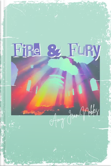 Fire and Fury Cover